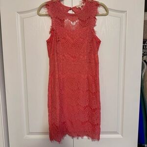 Main Strip Coral Lace Mini Dress